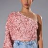 Long Sleeve Tops * | Lucia Floral Applique One Shoulder Crop Blouse Pink